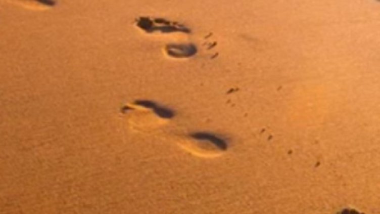 Снимка: YouTube