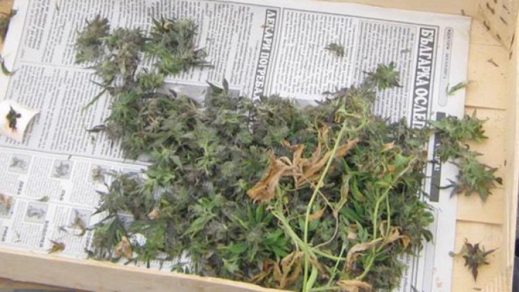 Снимка: Булфото