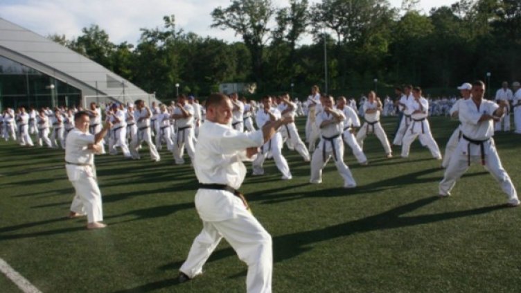 Снимка: Българската карате киокушин федерация