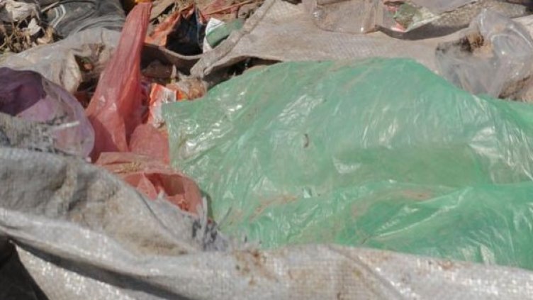 Снимка: архив, БулФото