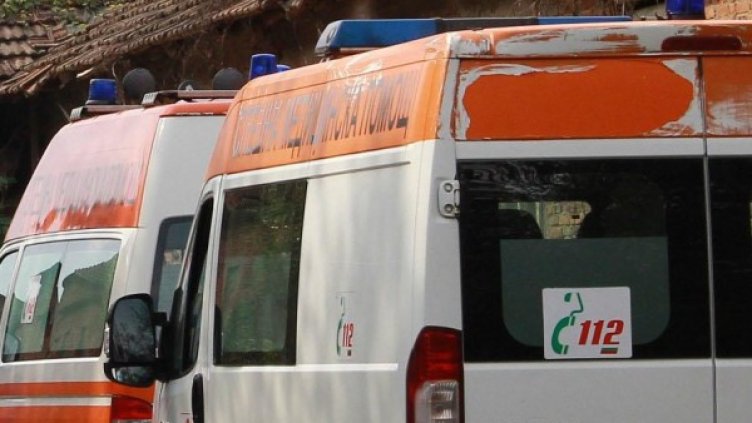 Снимка: Архив Булфото