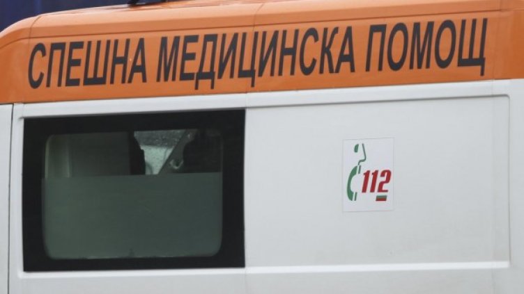 Снимка: Архив Булфото