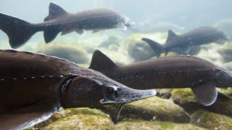 Снимка: Reuters, архив