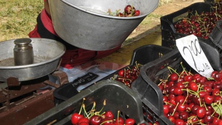 Снимка: архив Булфото