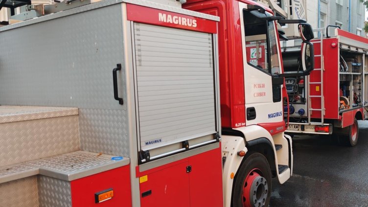 Снимка: архив, БГНЕС