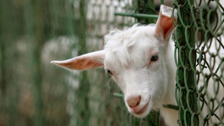 Снимка: Reuters, архив