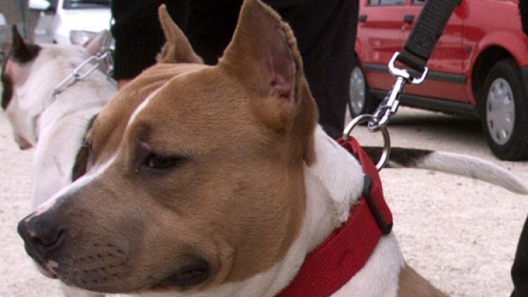 Снимка: Архив Reuters