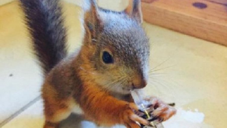 Снимка: Facebook