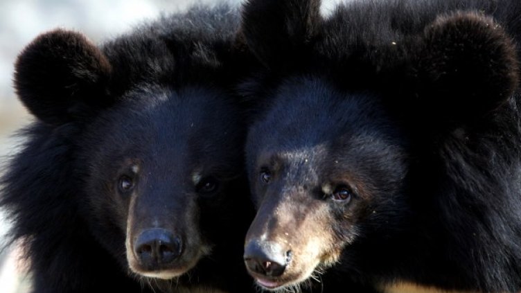 Снимка: Reuters, архив