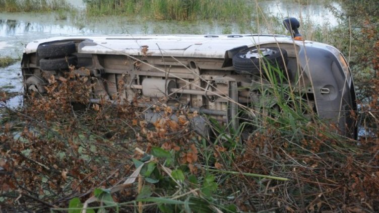 Снимка: Булфото, ахрив