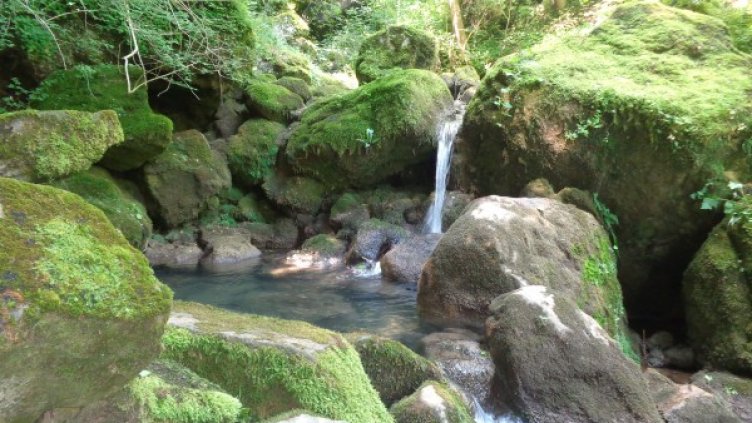 Снимка: Dnes.bg