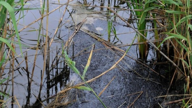 Снимка: архив, Булфото