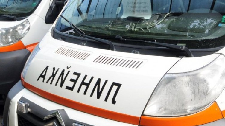 Снимка: Булфото, архив