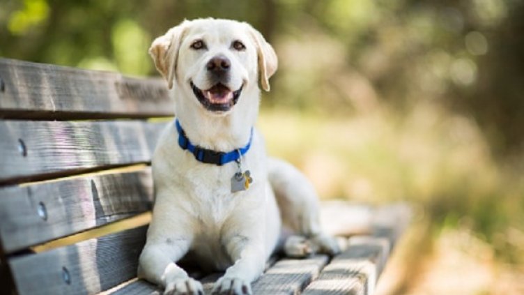 Снимка: Gettyimages