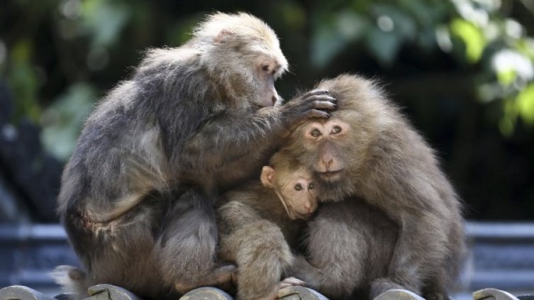 Снимка: Reuters, архив