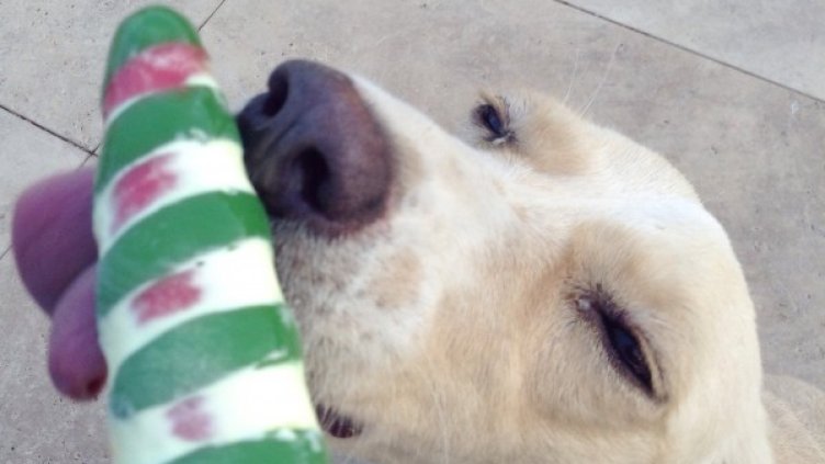 Снимка: Facebook