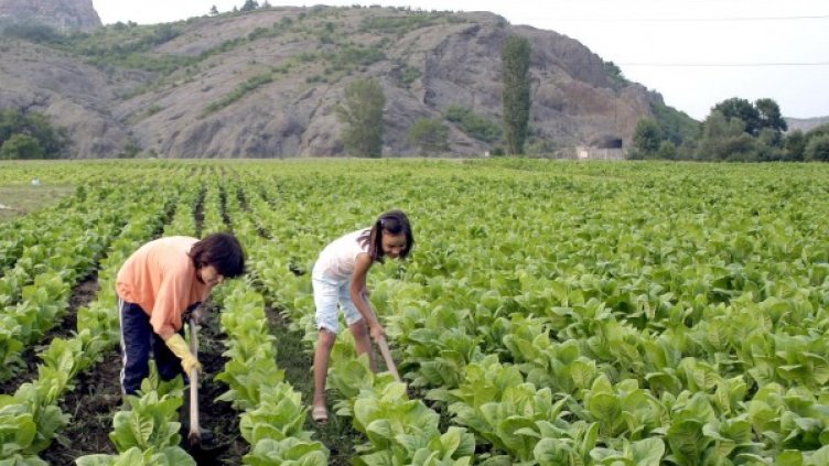 Снимка: архив, Булфото