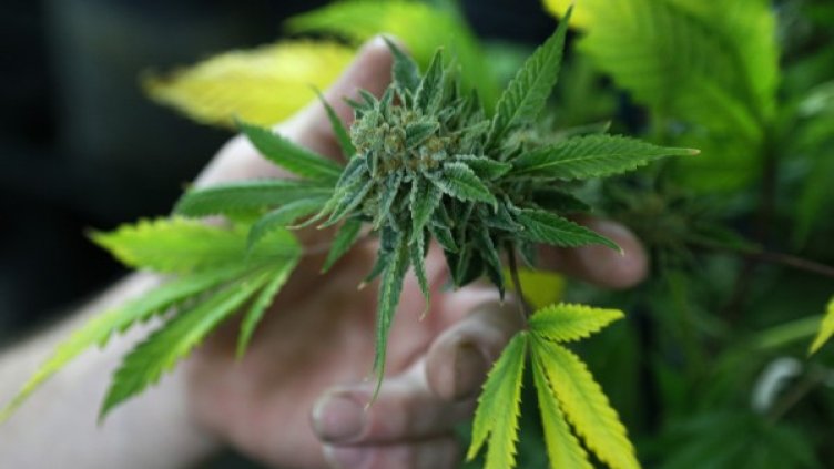 Снимка: Reuters