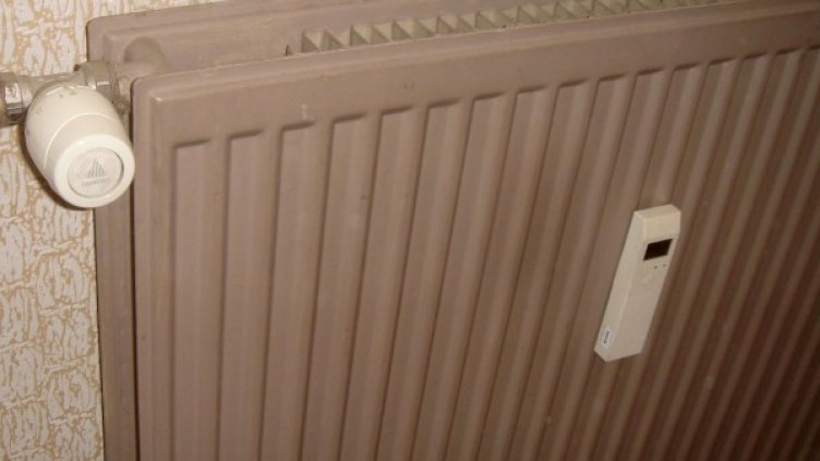 Снимка: Булфото