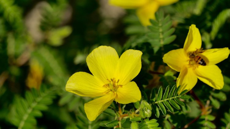 Снимка: istock