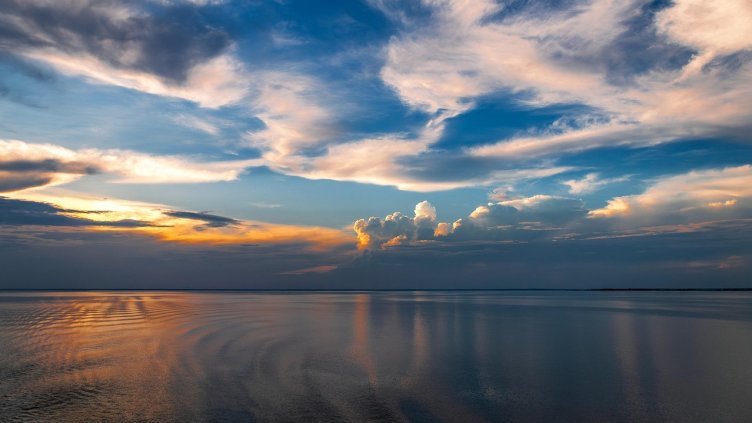 Снимка: Pixabay