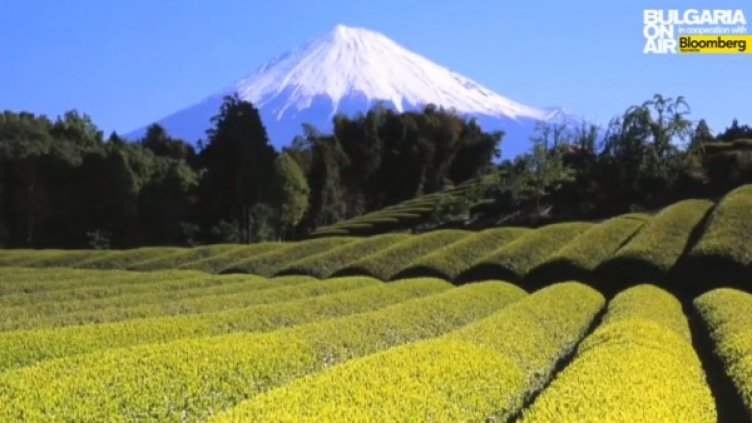 Снимка: Bulgaria On Air