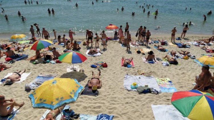 Снимка: Булфото