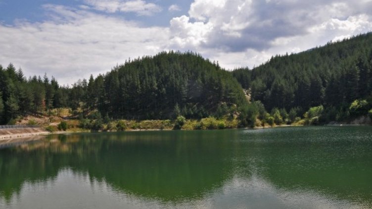 Снимка: Булфото, архив