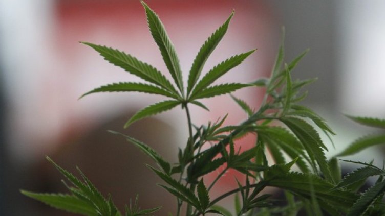 Снимка: Reuters