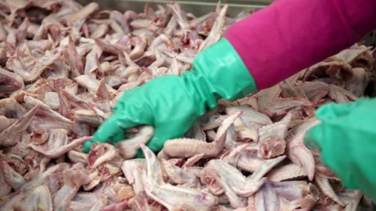 Снимка: Reuters, архив