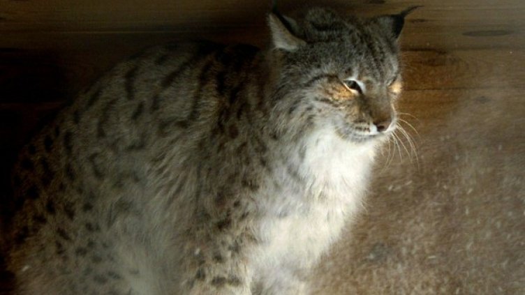 Снимка: архив, Reuters