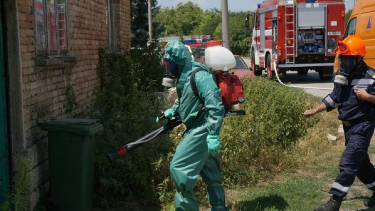 Снимка: Булфото