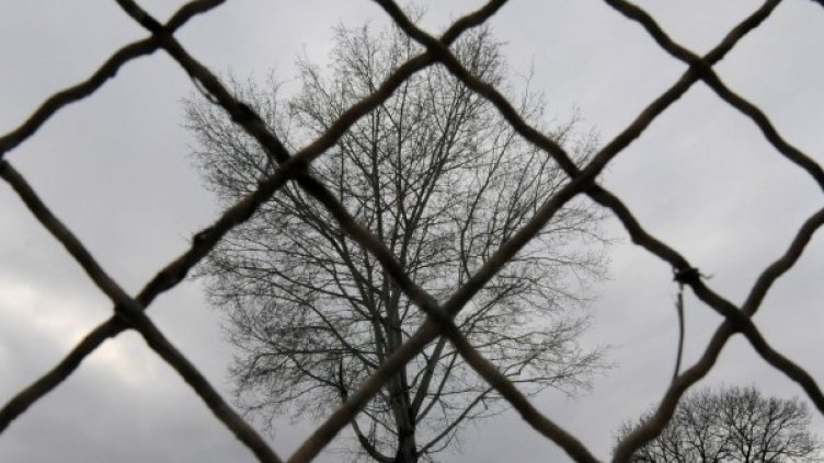 Снимка: Булфото