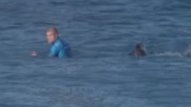 Снимка: YouTube