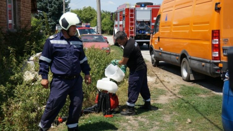 Снимка: Булфото, ахрив