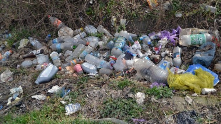 Снимка: Булфото, архив