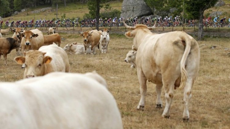 Снимка: Reuters, архив