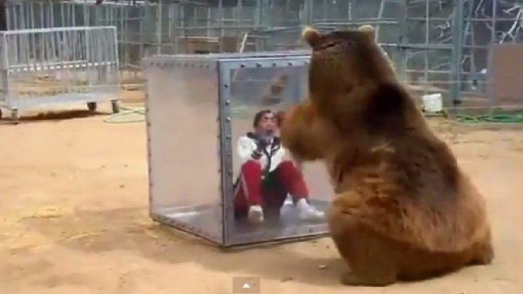 Снимка: YouTube