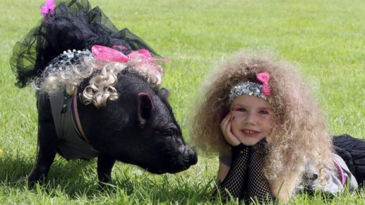 Снимка: Paul Faith