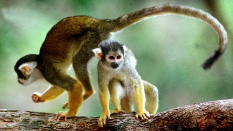 Снимка: Reuters, архив