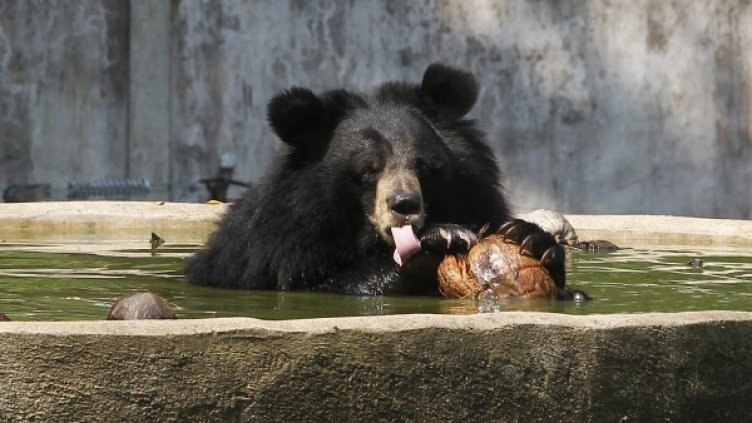 Снимка: архив, Reuters