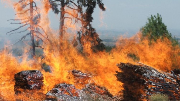 Снимка: Булфото