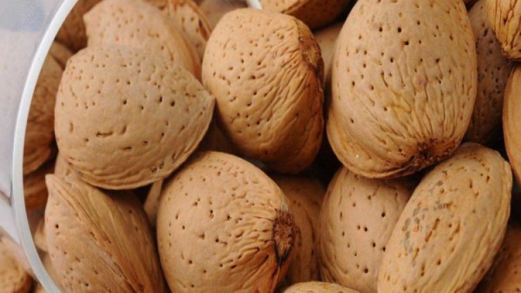 Снимка: flickr