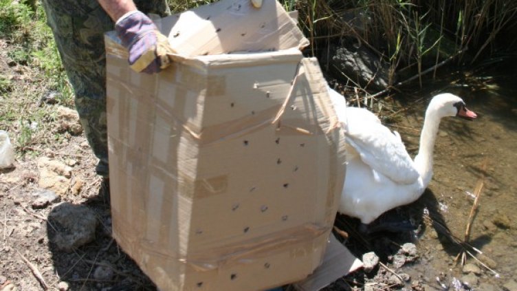 Снимка: РИОСВ - Бургас