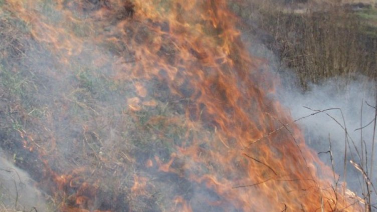 Снимка: архив Булфото