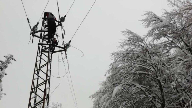 Снимка: ЕРМ Запад