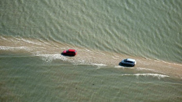 Снимка: ofigenno