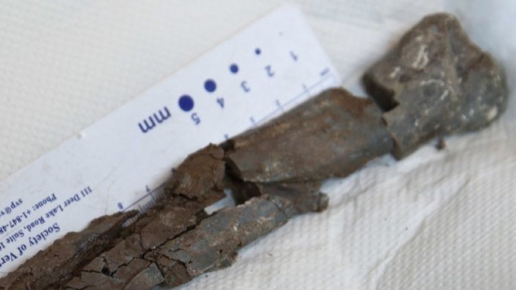 Снимка: архив, Reuters