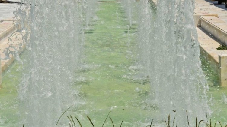 Снимка: Булфото, архив