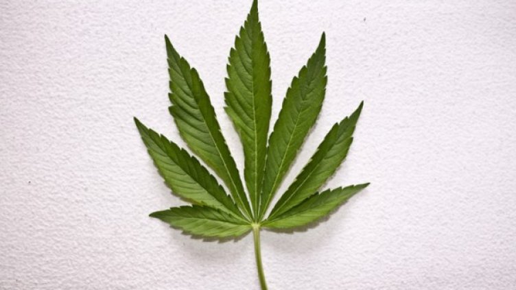 Снимка: Freeimages.com